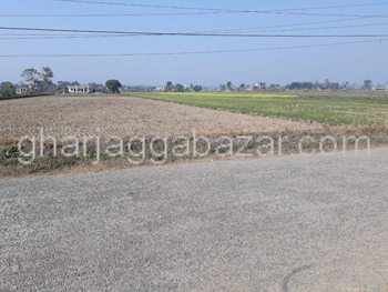 Urgent Land to Sell at Mohada